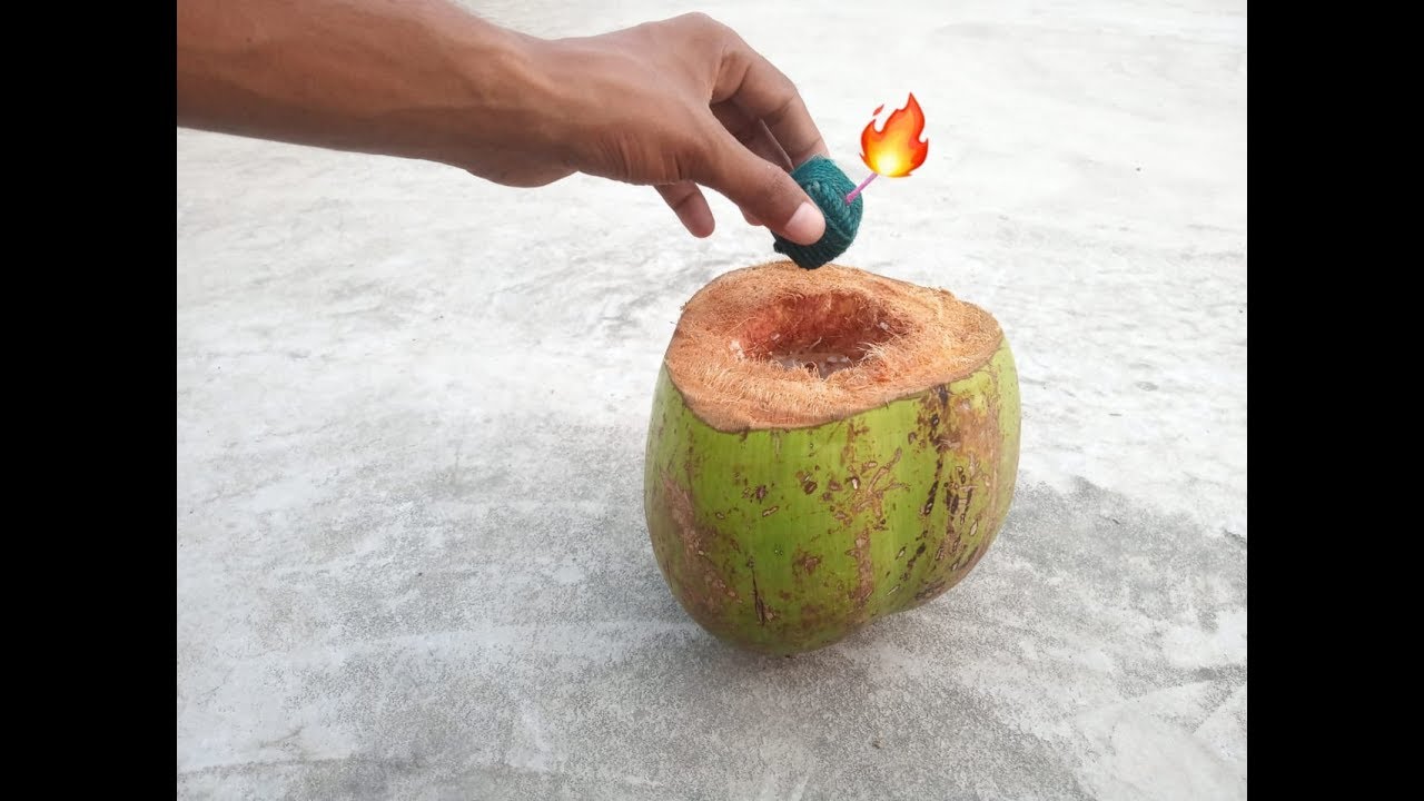 नारियल VA सुतली बम || COCONUT VS SUTLI BUM  || SURYA YTS
