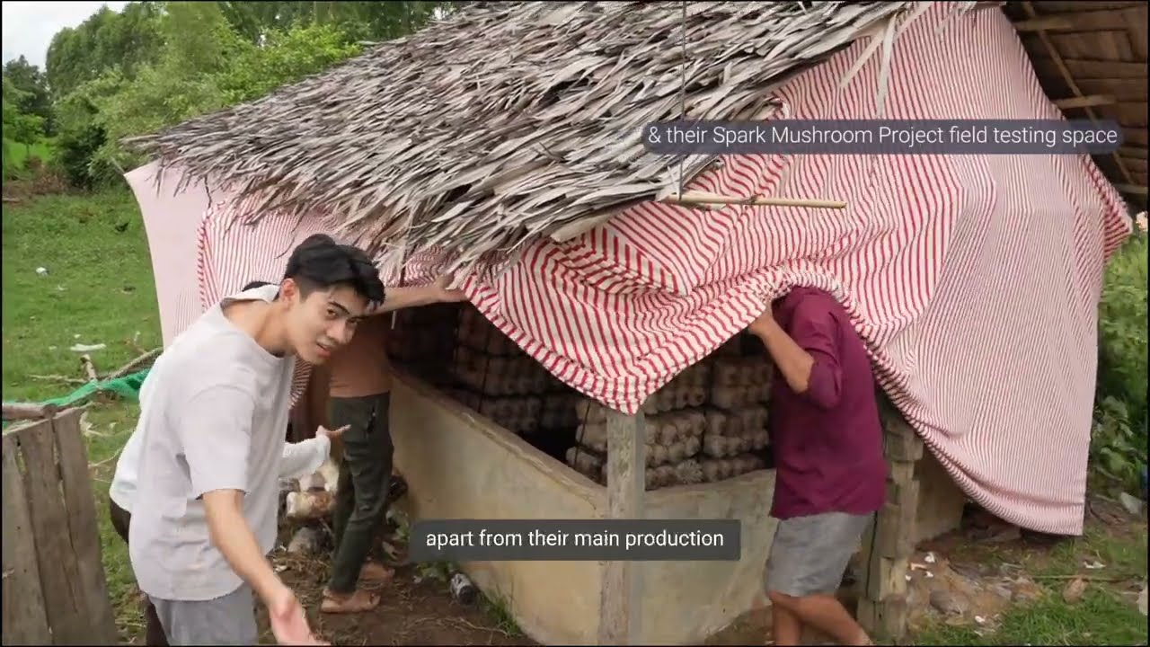 Growing mushrooms for food and income in Cambodia