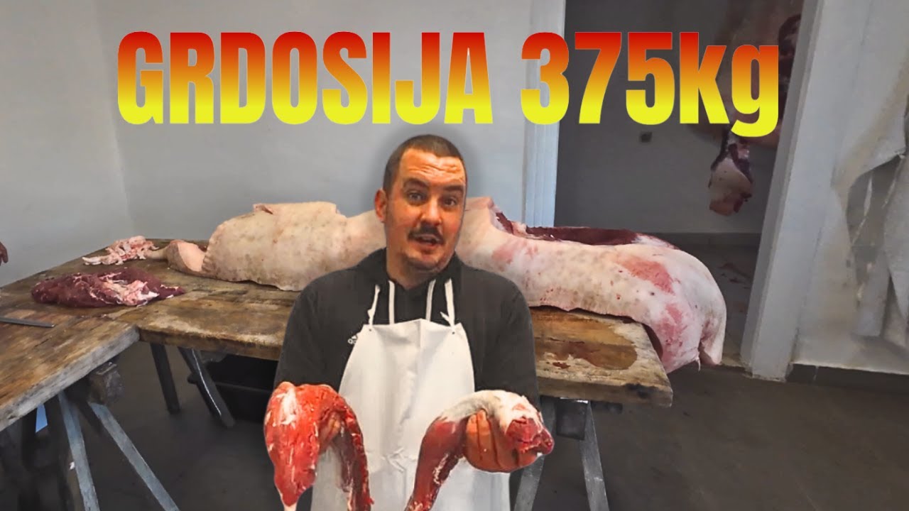 Kako obraditi kremenadlu/kičmu | Svinja teška 375 kg