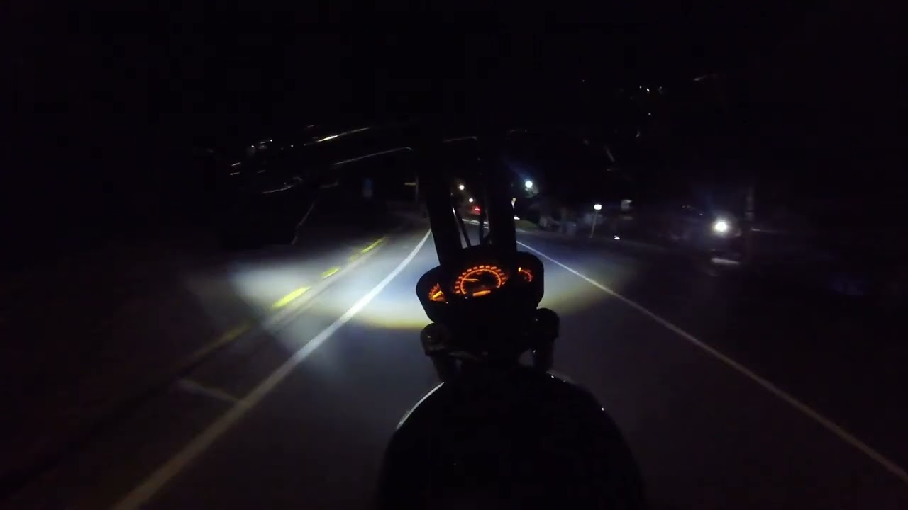 HARLEY-VROD Night Rydz Wellyz NZ