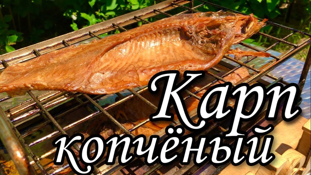 Карп горячего копчения. #копченый карп