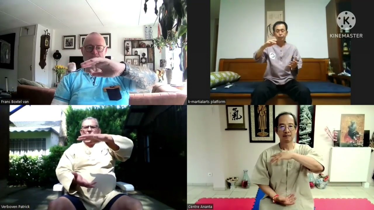 Hapki Zen zoom training