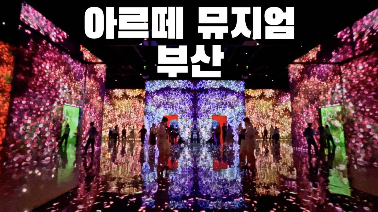 아르떼 뮤지엄 부산  미리 보고 가세요 | 강력 추천!  환상적인 경험 |  부산 영도