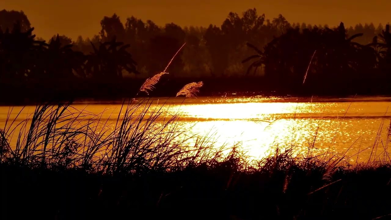 Relaxing Ambient Music with Nature Sounds, Chill Lake Mix for study, work or sleeping.