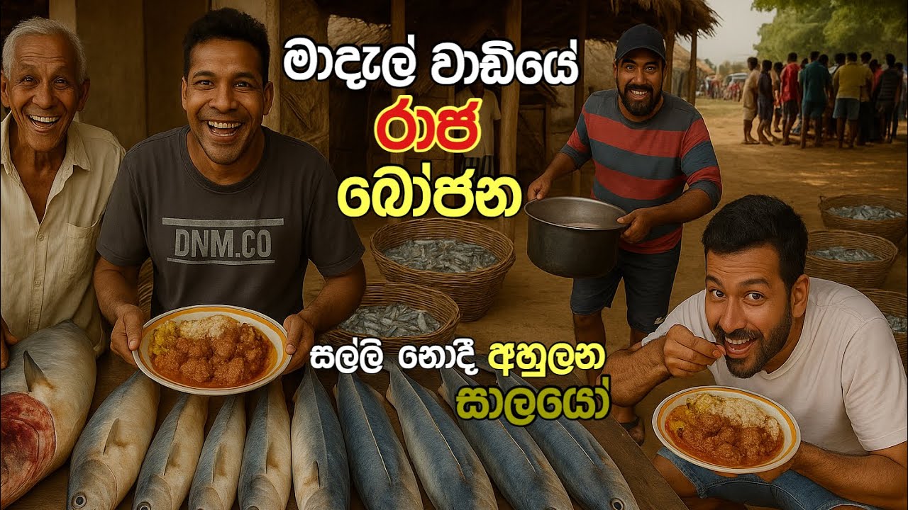 සල්ලි නොදී අහුලගන්න මා දැල් සාලයෝ| පොර කාගෙන ගන්න වෙන්නප්පුවේ මා දැල් මාළු#fishing #fishinglife 