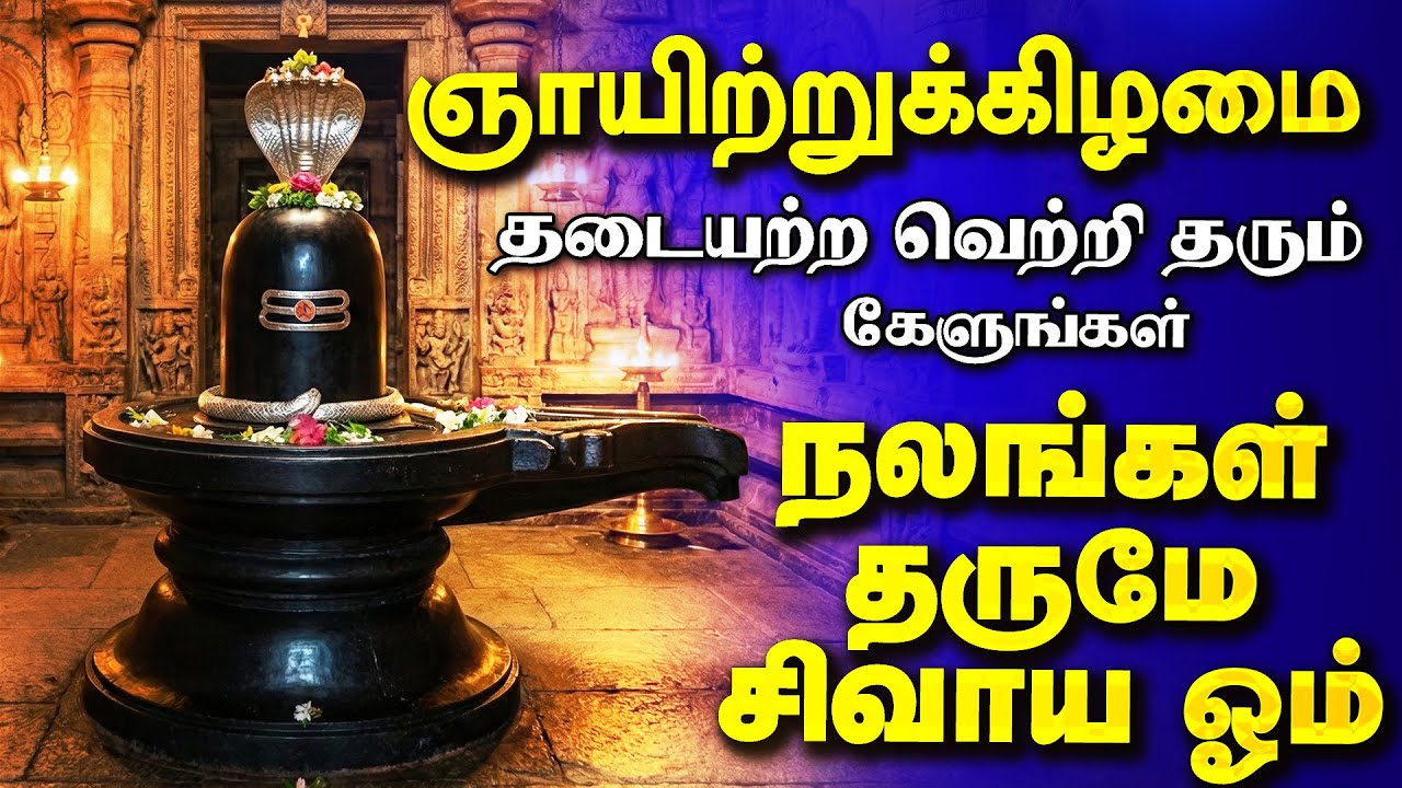 🔴LIVE SONGS | திங்கட்கிழமை கேட்க வேண்டிய நலன்கள் தருமே சிவாய ஓம்  சிவன் பாடல் SivanTamil Song