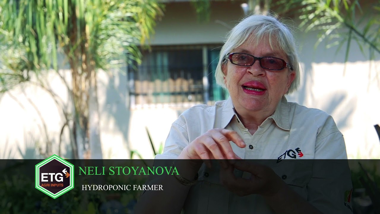 Hydroponics Farming with Nellie Stoyanova in Chalala Lusaka