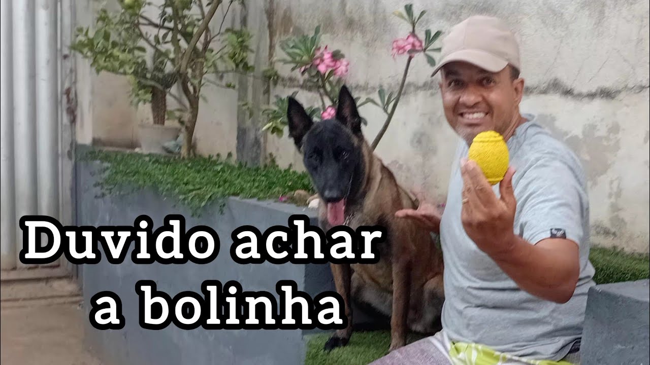 Ela Achou em Segundos! Treino de Faro com a Sérvia