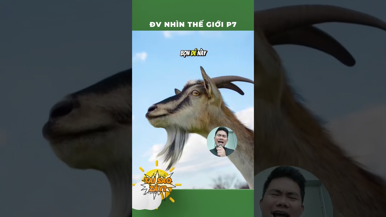 Thế giới trong mắt động vật P7