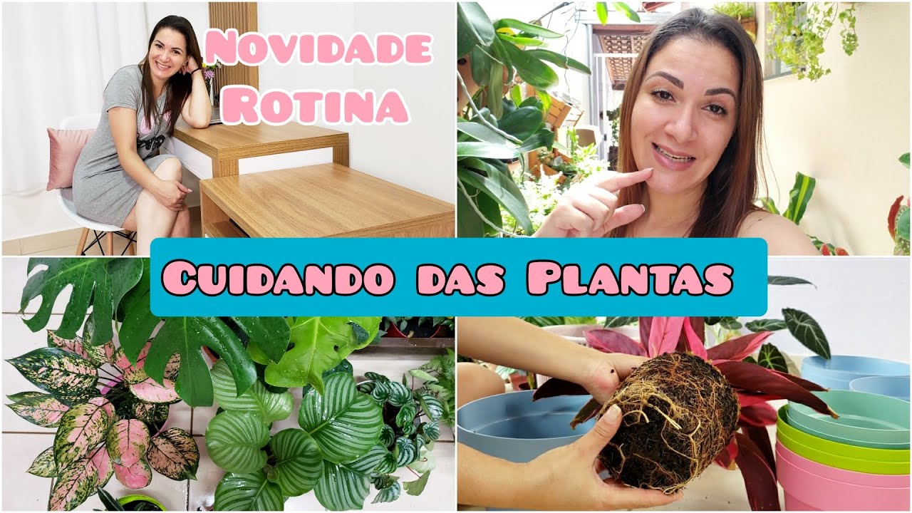 CUIDANDO DAS MINHAS PLANTAS | COMO REPLANTO? | PLANTAS NOVAS | ROTINA DE CASA | MONTAMOS A CADEIRA