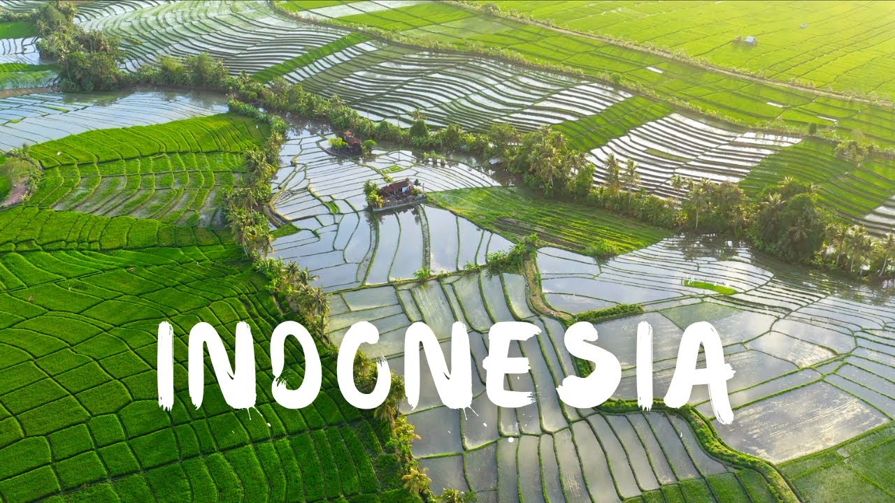Indonesia | Cinematic Travel Video | Stock Footage