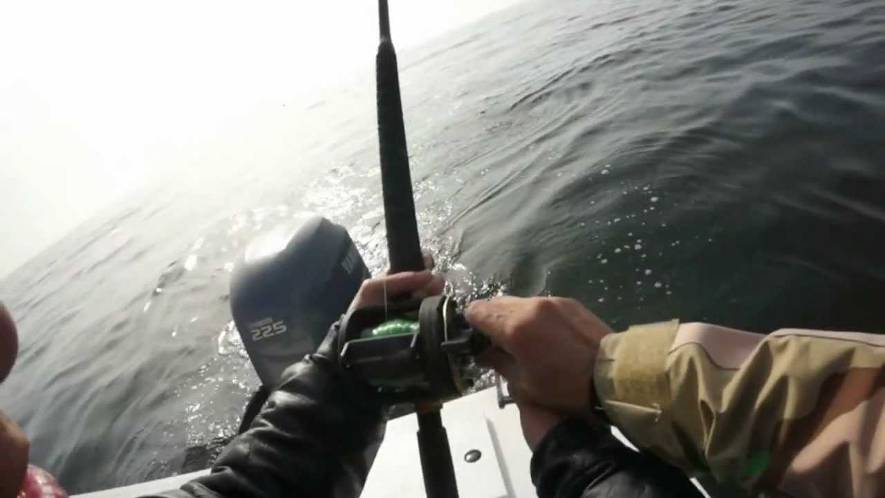 Cau Ca Stride Bass 12-2012