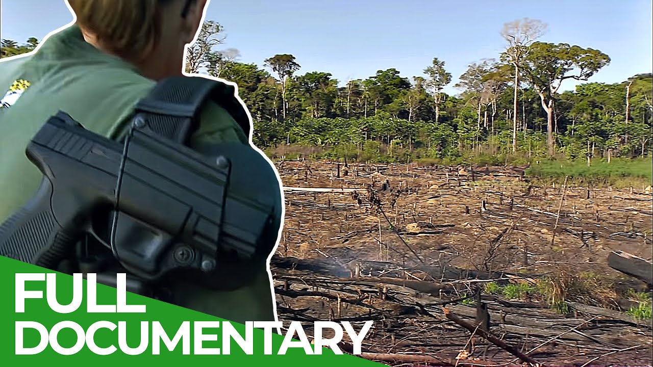 Saving Amazonia - Part 1: Raids in the Rainforest | Free Documentary Nature