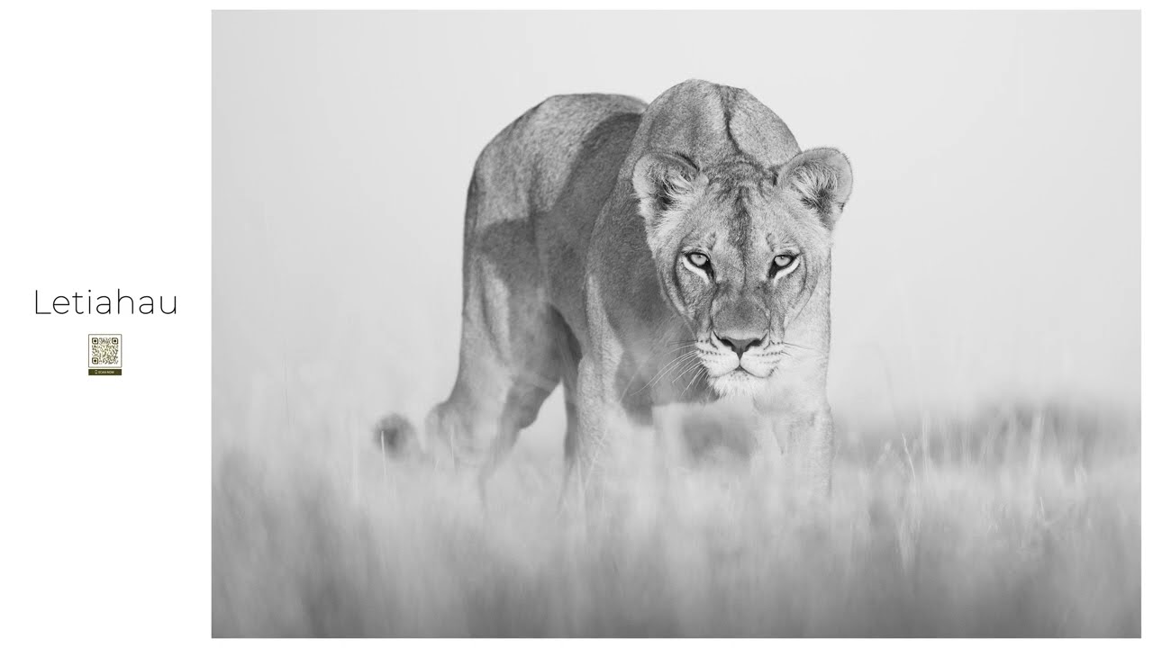 Chris Fallows Portfolio