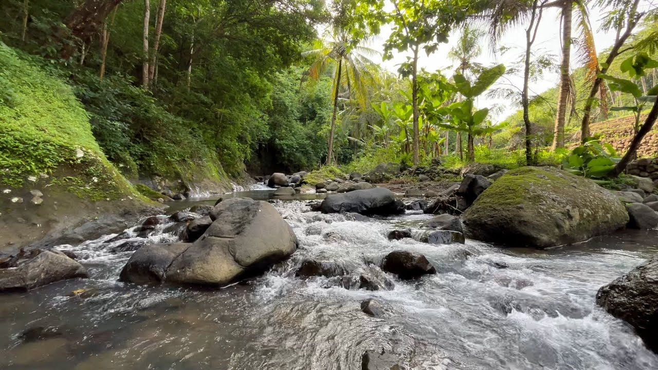 Fall Asleep Instantly with River Sounds 🌙 Insomnia Relief & Calming Nature Ambience