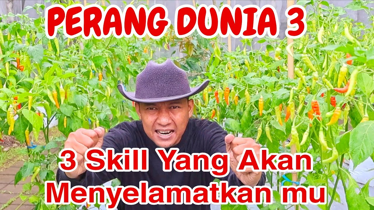 Tiga Mode Bertahan dari Krisis Pangan Akibat P€RANG DUNIA 3