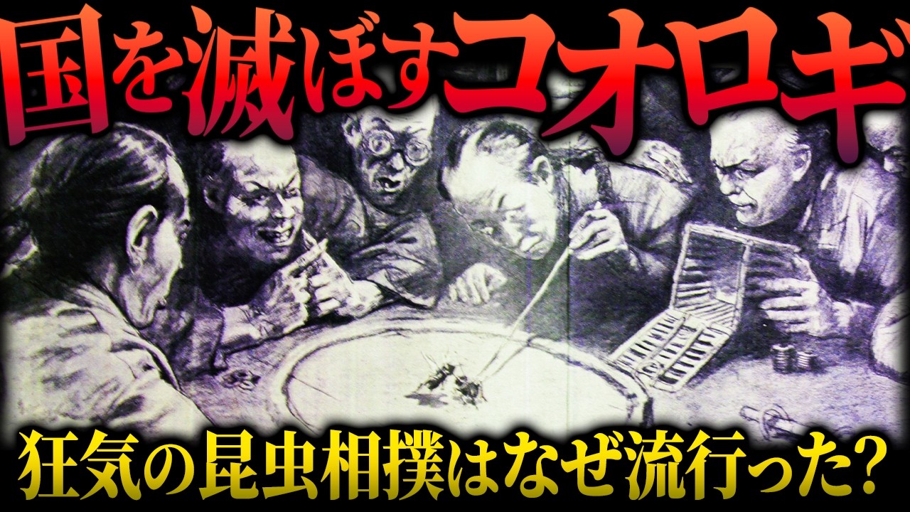 国を滅ぼすほど流行ったコオロギ相撲。何がそんなに楽しいの？