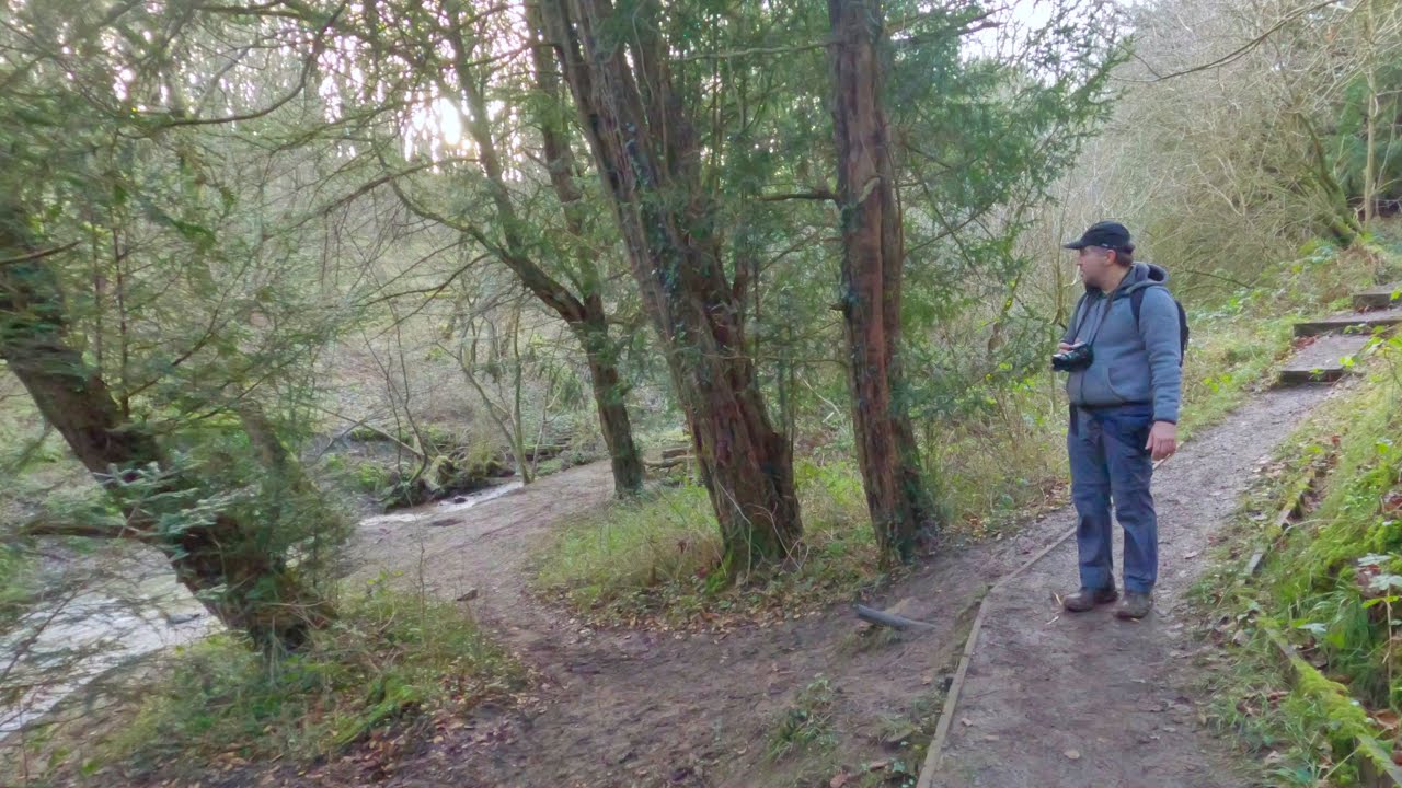 The East Durham Coast - Hawthorn Dene