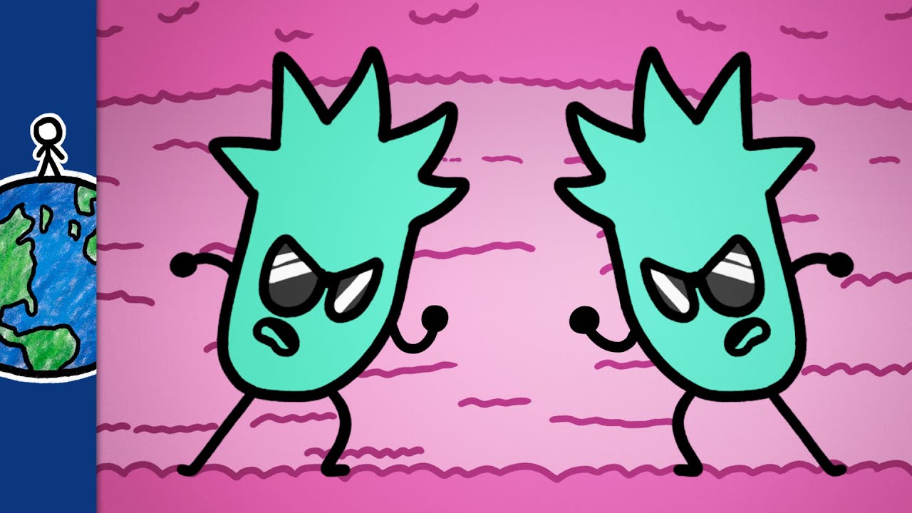 Monoclonal Antibodies | How to Turn Cancer Against Itself
