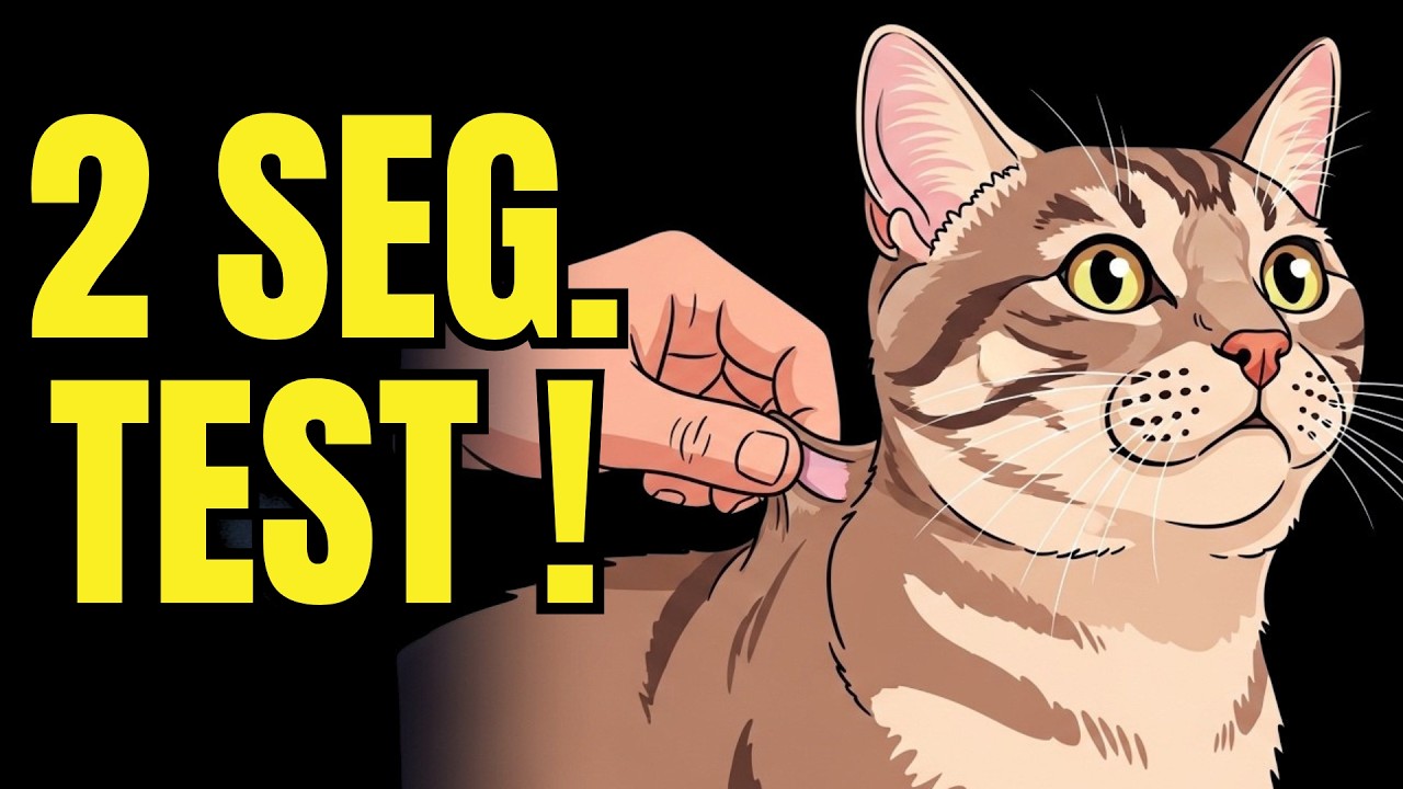 Do This and Your Cat Will Drink DOUBLE the Water (Scientifically Proven Tips for Cat Health)