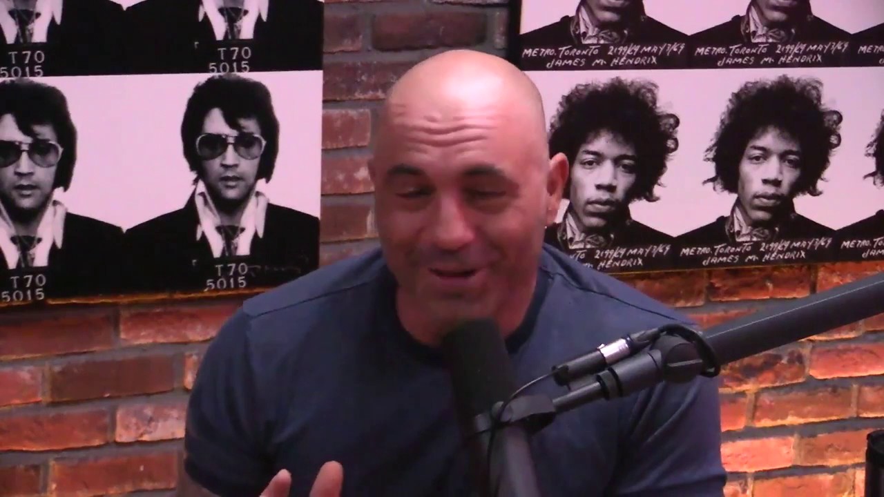 Joe Rogan & Kevin Smith on Filmmaking, Quentin Tarantino