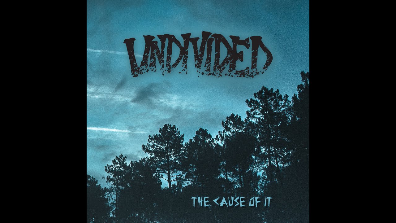 "THE CAUSE OF IT" OFFICIAL LYRIC VIDEO - Undivided