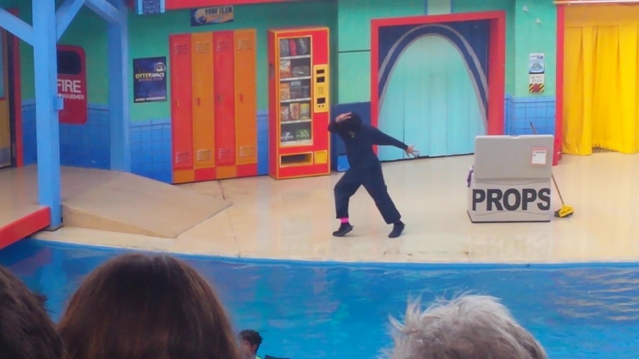 Sea Lions Tonite Pre Show! SeaWorld San Antonio 2018!