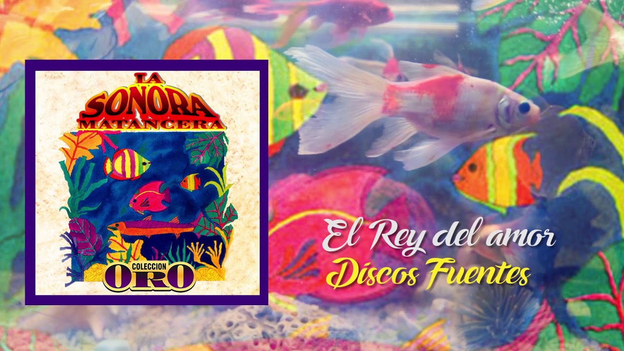 El Rey del Amor - La Sonora Matancera / Discos Fuentes [Audio Oficial]