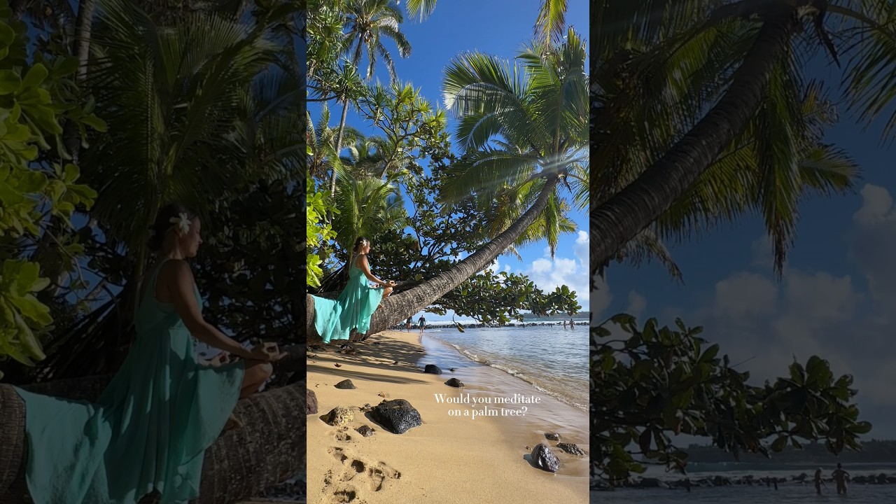 Palm Tree Meditation in Kaua‘i, Hawai‘i | Unique Island Morning Ritual