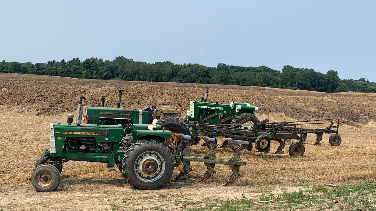 Plow Days 2025