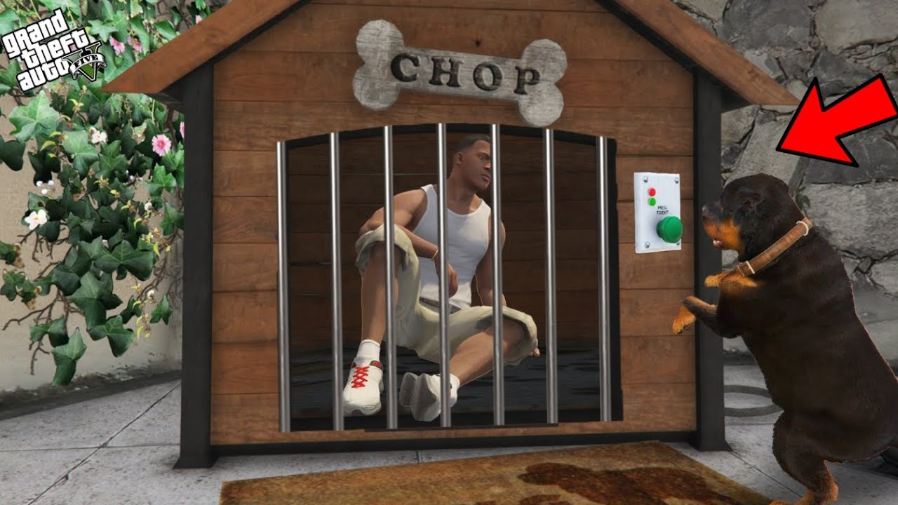 GTA 5 : Franklin Locked Inside Chop's House And Found A Secret Button In GTA 5!