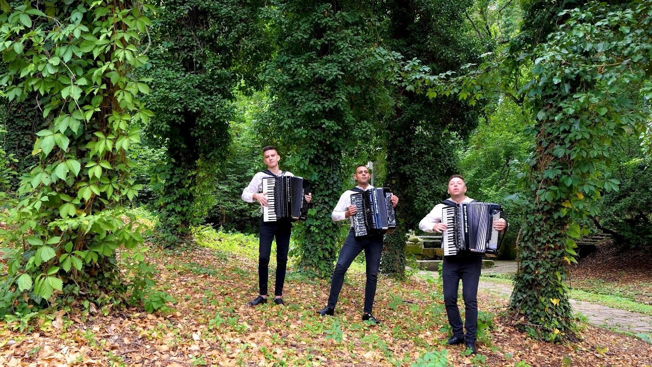 Контрастно - Българско Акордеонно Трио // Contrast - Bulgarian Accordeon Trio