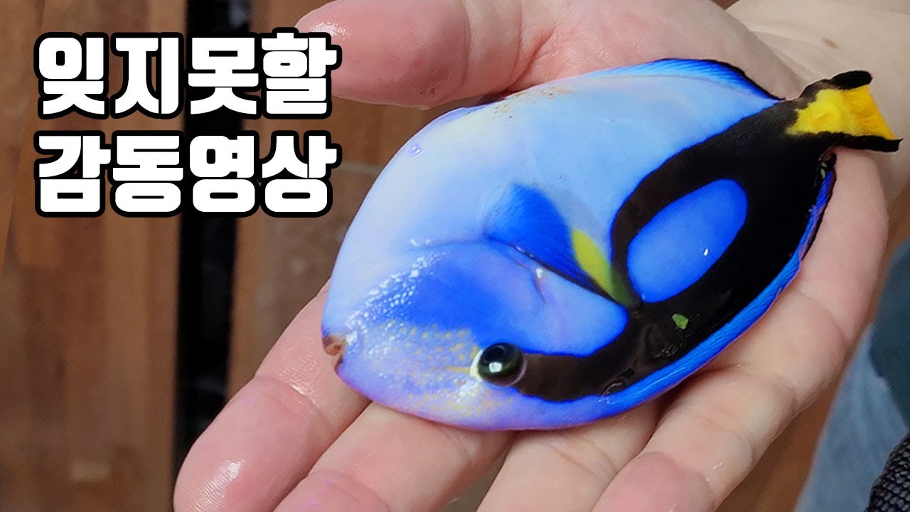 1년 2개월의 감동을 담은 잊지못할 영상모음