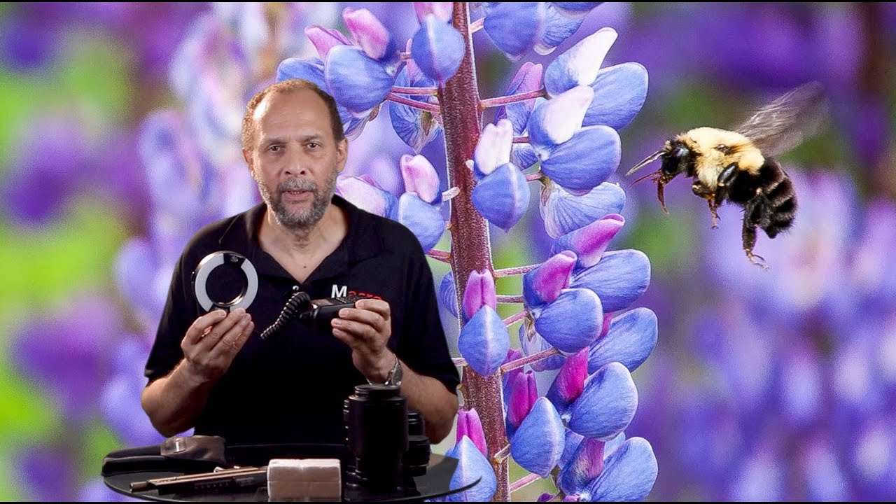 Great Macro Photography Equipment Suggestions...MUST SEE!