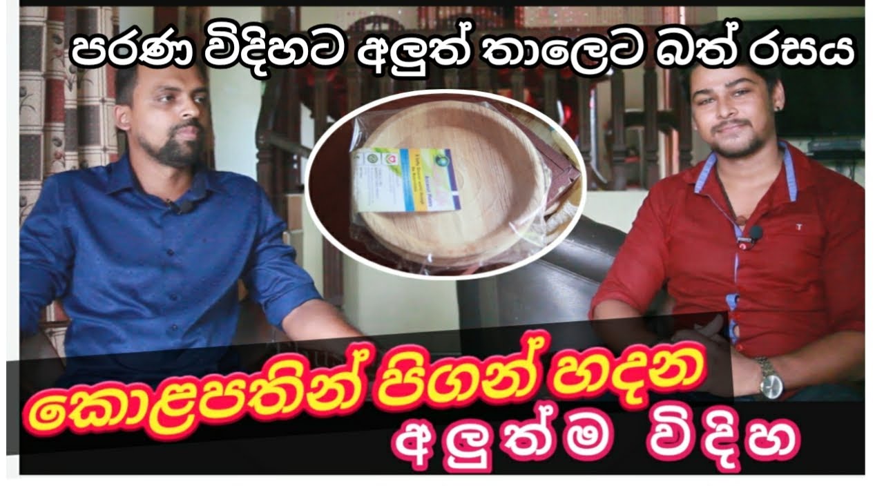 How to make plates | make plates at home | make arecanut leaf plate | make plates with arecanut leaf