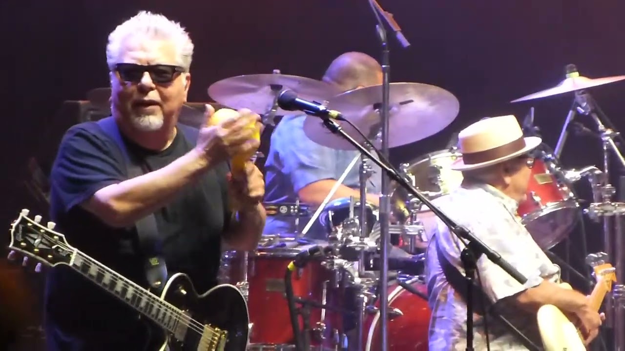 Los Lobos - I Got Loaded (Little Bob & the Lollipops) - OC FAIR