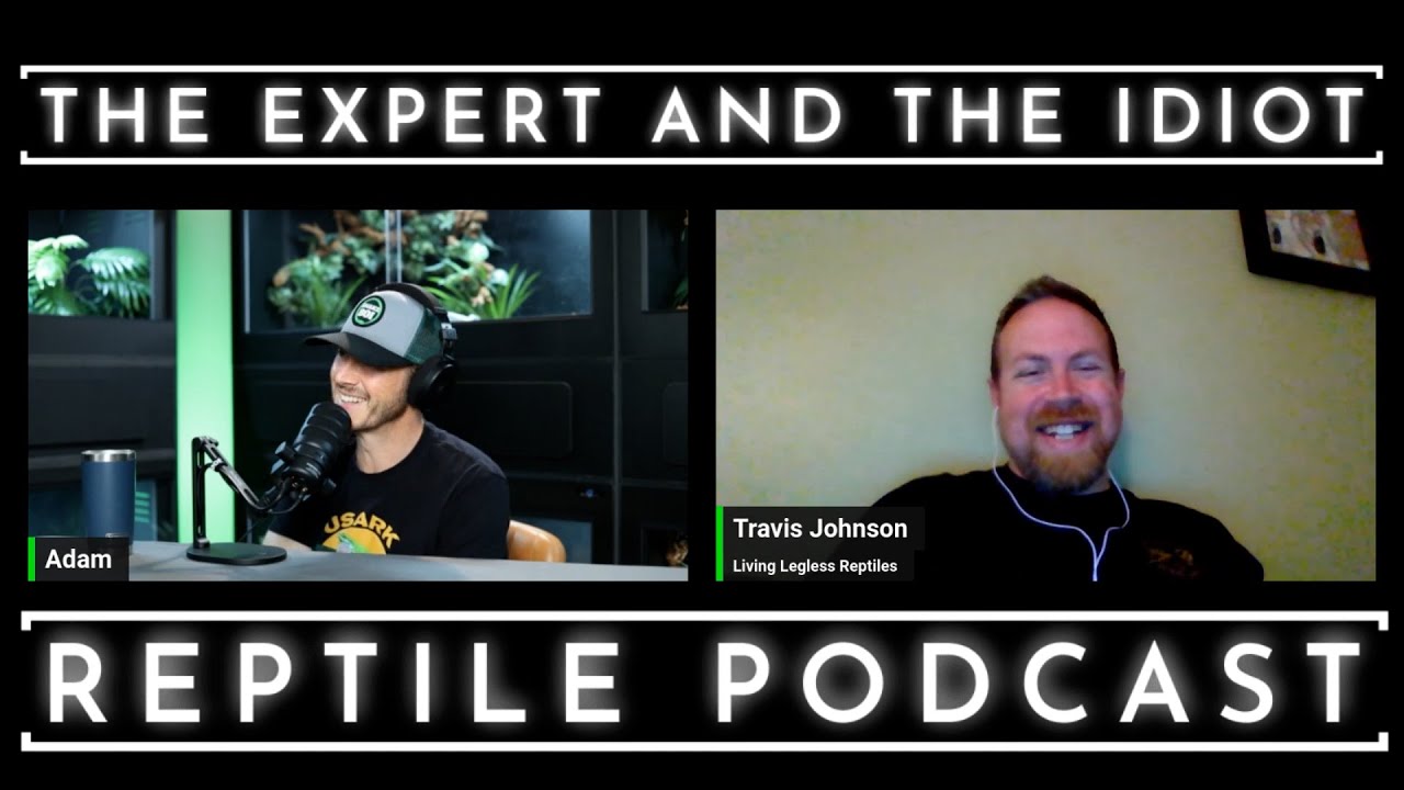 09 - Travis Johnson of Living Legless Reptiles - The Expert and The Idiot - A Reptile Podcast