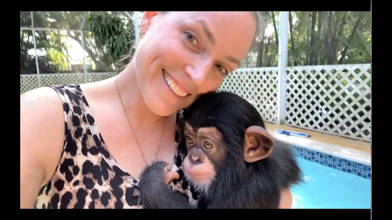 CHIMP BABY POOL PARTY