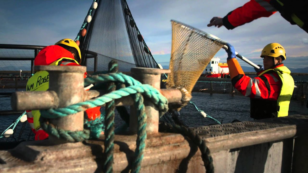 Nova Sea Den perfekte balansen Norsk