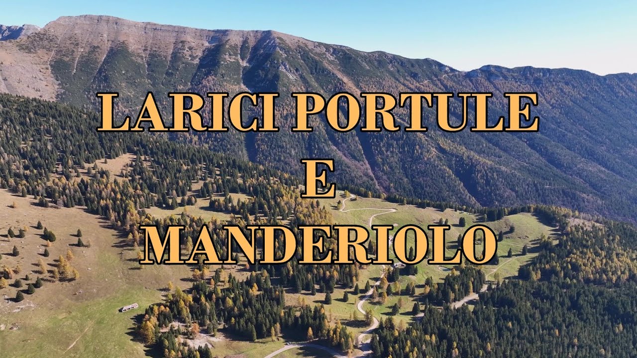 LARICI PORTULE E MANDERIOLO