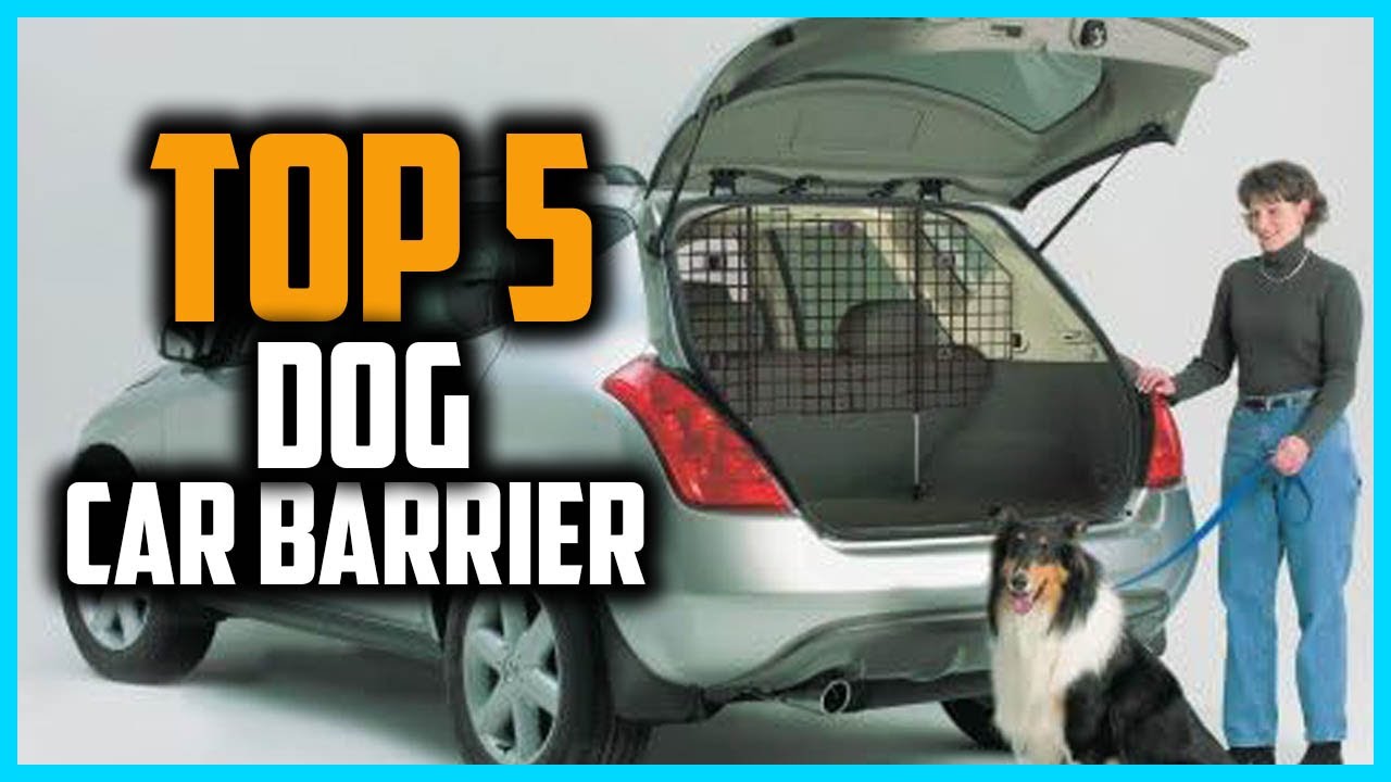 ✅Top 5 Best Dog Car Barrier in 2025