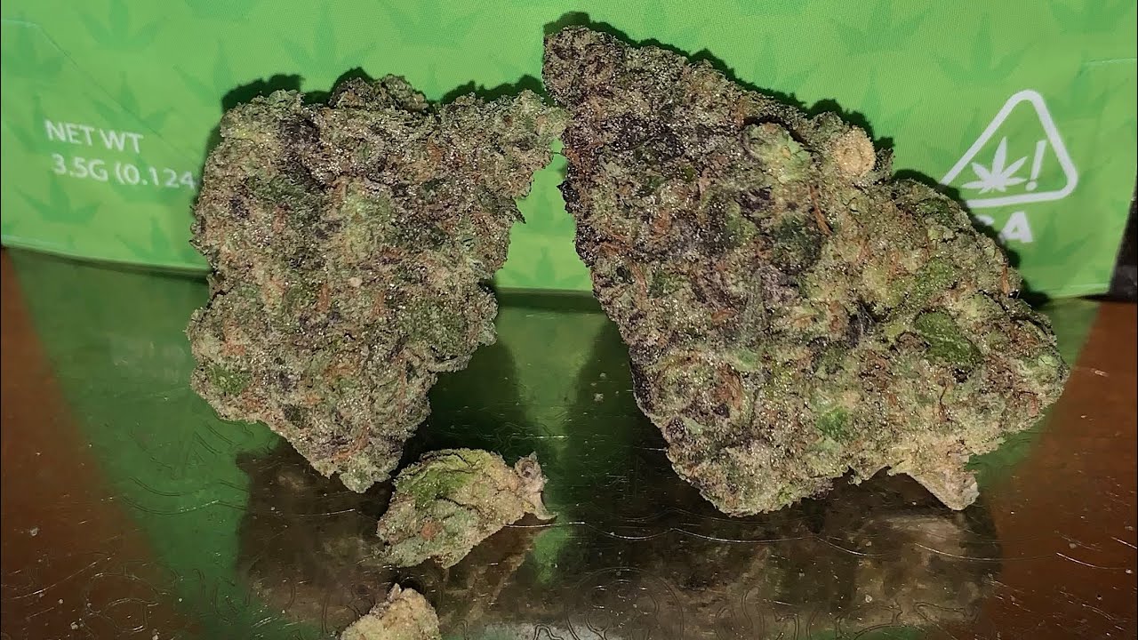 Hash Burger Strain Review