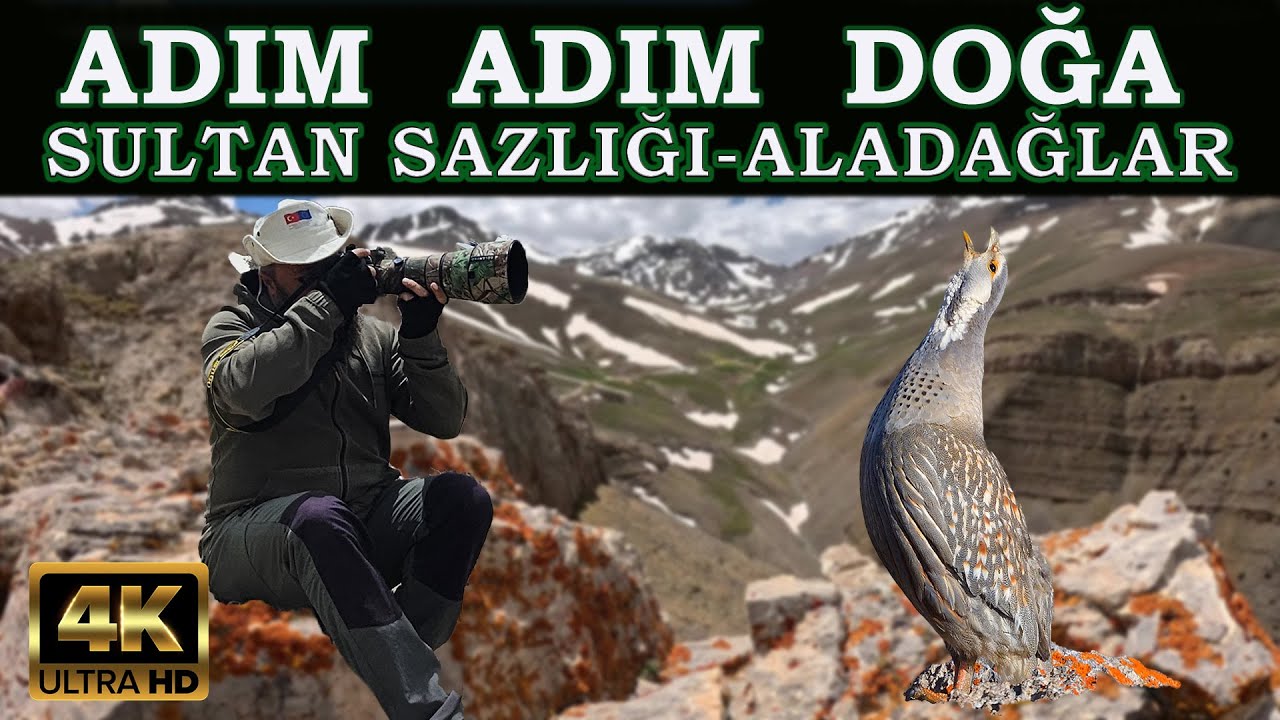 ADIM ADIM DOĞA : TRAKUŞ SULTAN SAZLIĞI-ALADAĞLAR KAMPI