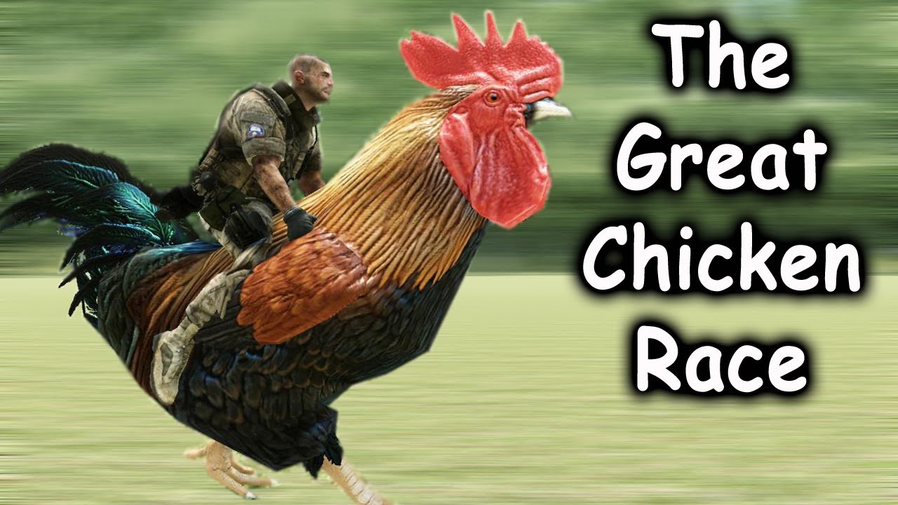 The Great Chicken Race 2