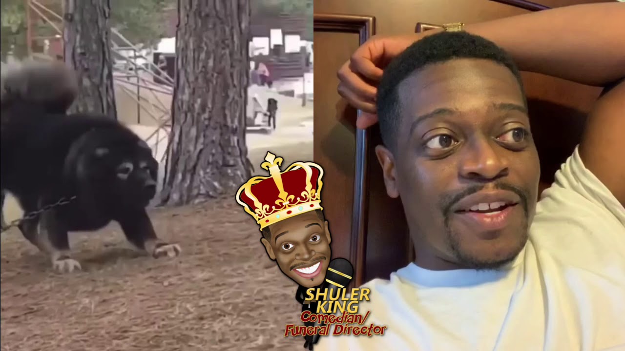 Shuler King - A Message To People With Dogs Like This!!!
