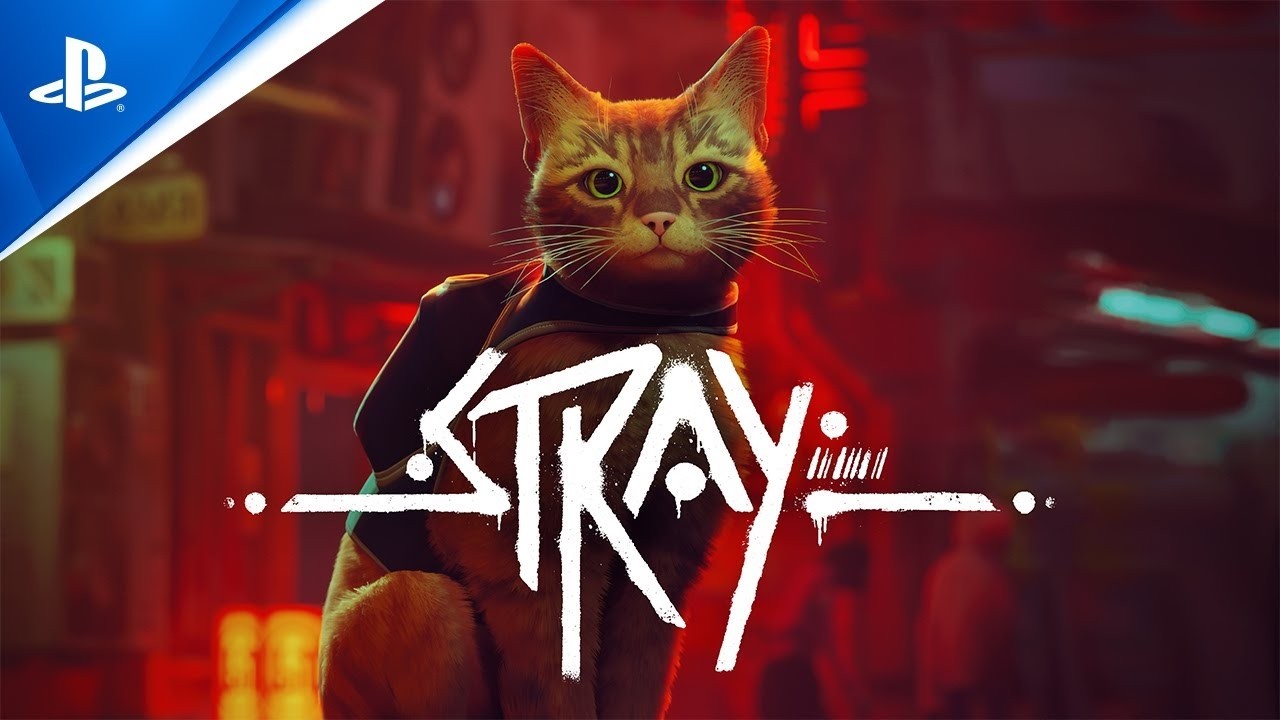 STRAY FOR FUN WITH CHRISUPTON ON PS5