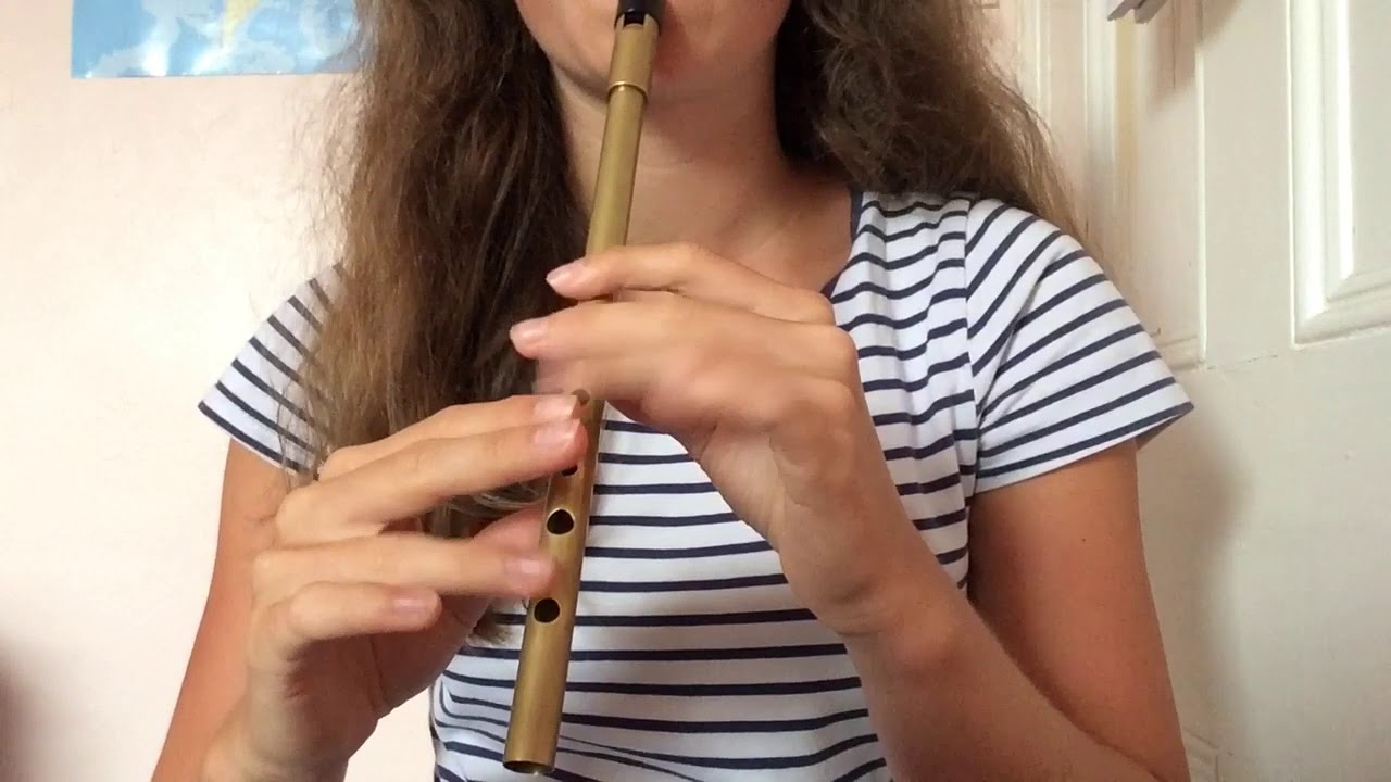 Tripping up the stairs irish jig - Tin whistle and piano