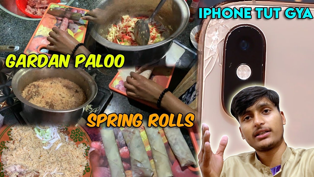 iPhone Tut Gya | Gardan Paloo | Spring Rolls | Recipe | Daily Vlog | Marie Bhatti Vlogs.