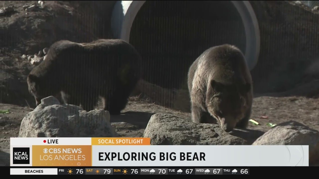 Big Bear Alpine Zoo: SoCal Spotlight