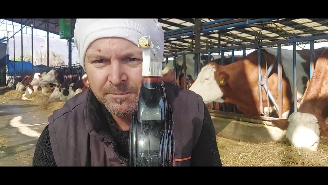 Şapta Ağız Yaralarına Çözüm! Batikon ve Zeytinyağı Mucizesi, Nasıl Kullanılır?